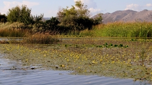 j Metkovic Neretva-rivier_0291