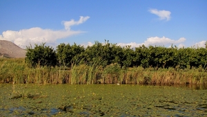 j Metkovic Neretva-rivier_0303