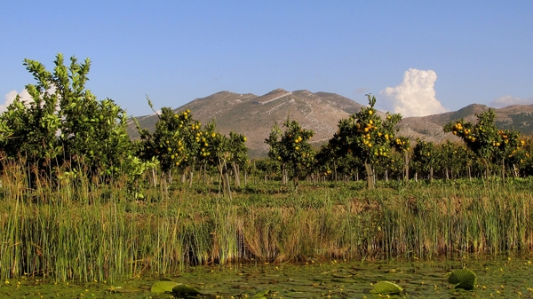 j Metkovic Neretva-rivier_0316