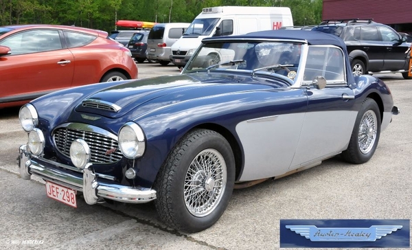 AUSTIN-HEALEY B_JEF-298 PUTTE 20130511_2