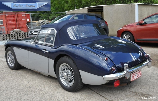 AUSTIN-HEALEY B_JEF-298 PUTTE 20130511_3