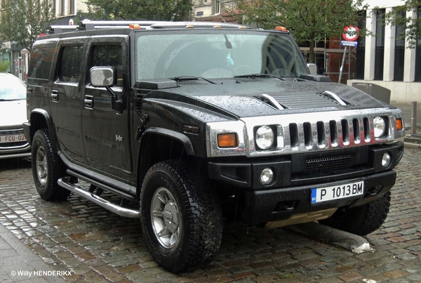 HUMMER - BG_P 1013 BM  PAARDEMARKT 20140628