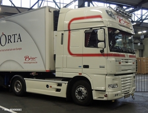 DAF XF105-450 - B_1-CKE-771 'BELORTA' ST-KATELIJNE-WAVER 20141005