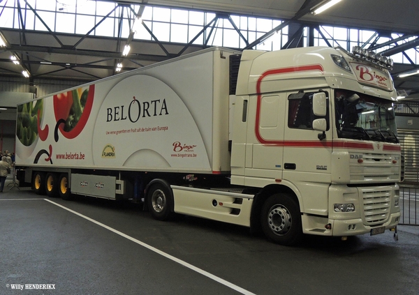 DAF XF105-450 - B_1-CKE-771 'BELORTA' ST-KATELIJNE-WAVER 20141005