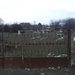 DSCF0154