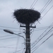 DSCF0191
