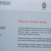 DSCF0241