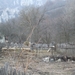 DSCF0246
