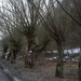 DSCF0274