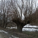 DSCF0278