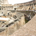 Rome-Coloseum