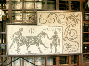 Rome-Coloseum