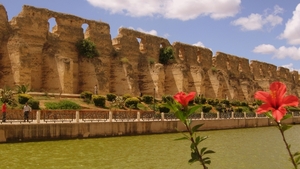 IMG_o Marokko Meknes 0006