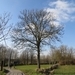 2013-02 20 Strijpen 010
