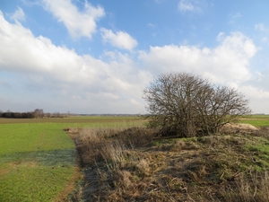 2013-02 21 Nederokkerzeel 008