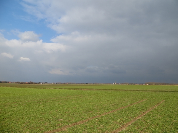 2013-02 21 Nederokkerzeel 021