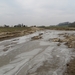 2013-02 23 Leupegem 004