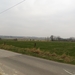 2013-02 23 Leupegem 010