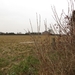 2013-02 23 Leupegem 014