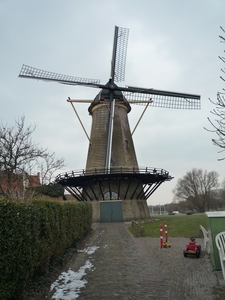 Zierikzee _molen den Haas _P1140900