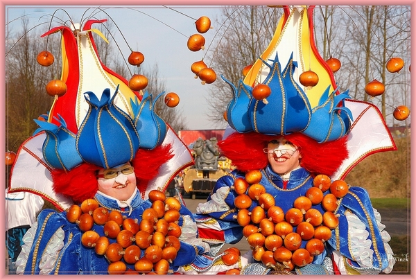 sized_sized_DSC50449a Aalst karnaval zondag