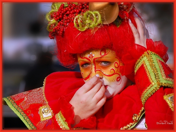 sized_sized_DSC50473a Aalst karnaval zondag