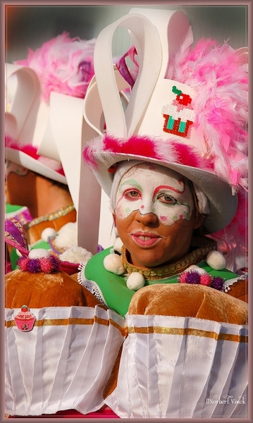 sized_sized_DSC50485a Aalst karnaval zondag