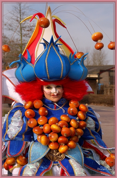 sized_sized_DSC50522a Aalst karnaval zondag