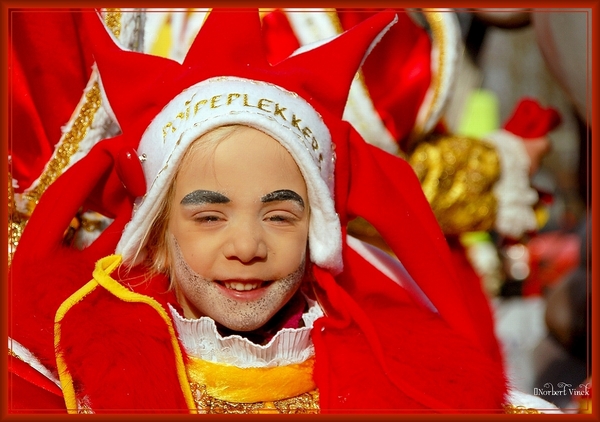 sized_sized_DSC50552a Aalst karnaval zondag