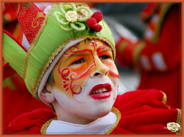 sized_sized_DSC50585a Aalst karnaval zondag