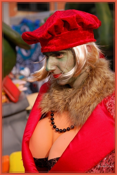 sized_sized_DSC50605a Aalst karnaval zondag