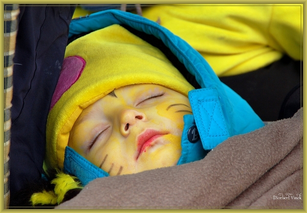 sized_sized_DSC50297a kinderkarnaval Erembodegem