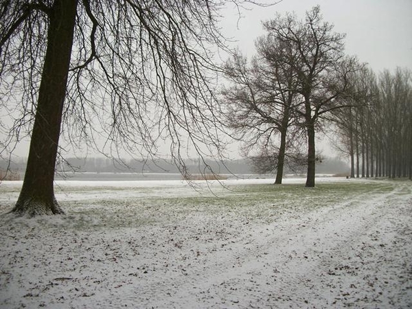 23-
