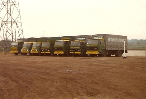Line Up