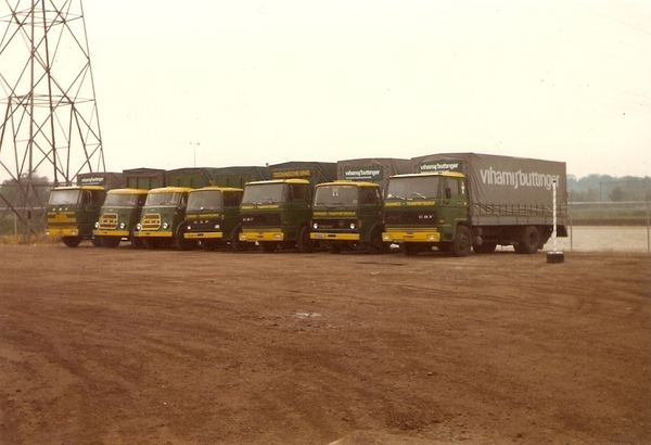 Line Up