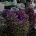 op de bloemenmarkt
