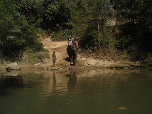 oppassen voor olifanten in het water