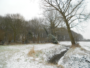 Kleine Struisbeekwandeling 001