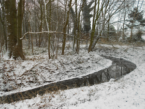 Kleine Struisbeekwandeling 002