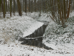 Kleine Struisbeekwandeling 003