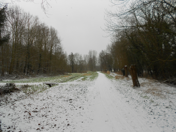 Kleine Struisbeekwandeling 005