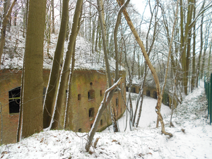 Kleine Struisbeekwandeling 007