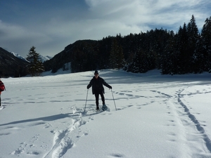 SneeuwSchoenWandeling