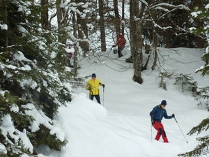 SneeuwSchoenWandeling