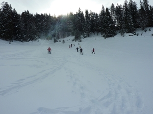 SneeuwSchoenWandeling