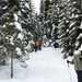 SneeuwSchoenWandeling