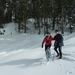 SneeuwSchoenWandeling