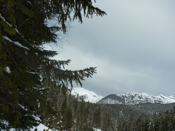 SneeuwSchoenWandeling