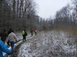 Overmere Februari 2013 020