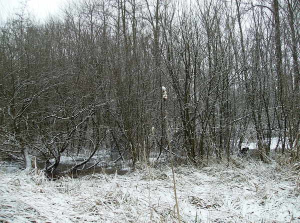 Overmere Februari 2013 022